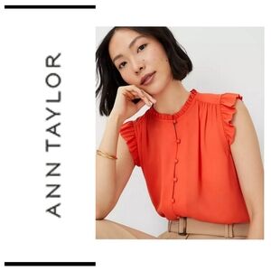 LNC Ann Taylor Ruffle Sleeve Blouse